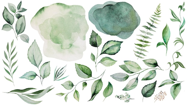 Aquarellgrüne Blätter Linien und Flecken Illustration isolierte Elemente für das Basteln von Hochzeitsdesign-Grußkarten