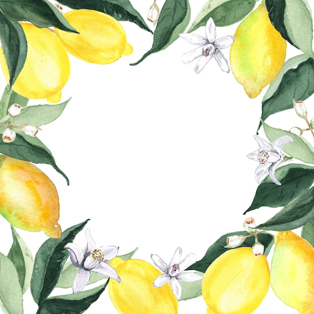 Aquarellgrüngrenze mit Zitronen und Blumen
