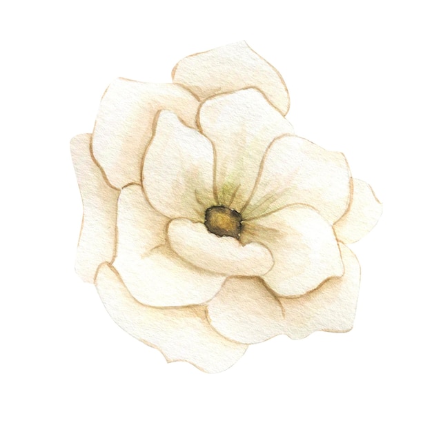 Aquarellillustration einer Hochzeitsblume