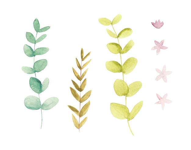 Aquarellillustration einer Reihe einzelner Äste mit Blättern und kleinen rosa Blüten