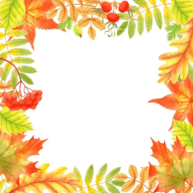 Aquarellillustration eines quadratischen Rahmens mit Herbstlaub und Beeren