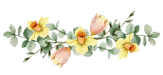 Aquarellillustration mit Tulpen, Narzissenblumen, Eukalyptus und Weiden