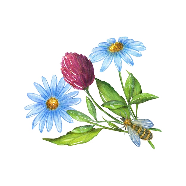 Aquarellillustration mit Wildblumen und einem Bienenkamillenklee-Grünisolat