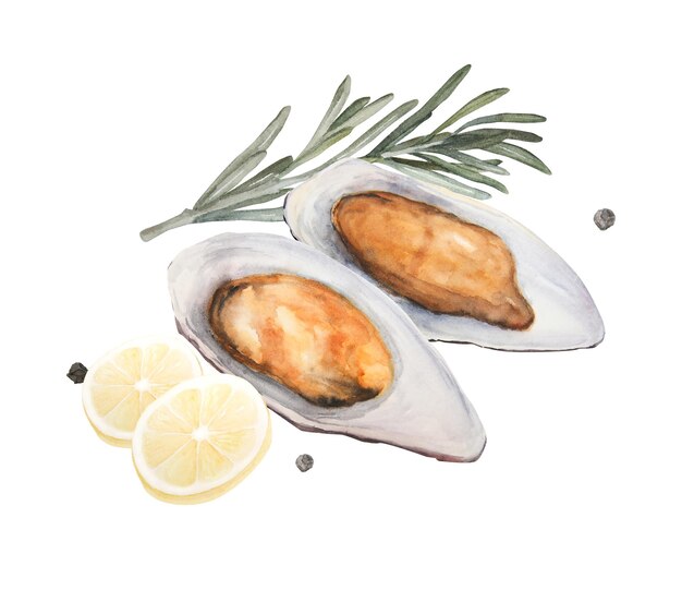 Aquarellillustration von gebackenen Muscheln mit Zitrone und Rosmarin und Pfefferkörnern isoliert auf weißem Hintergrund