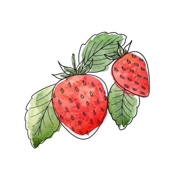 Aquarellillustration von zwei roten Erdbeeren lokalisiert auf einem weißen Hintergrund