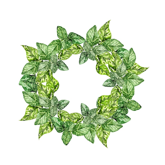 Aquarellkranz mit rundem Rahmen der grünen Minzeblätter auf weißem Hintergrund