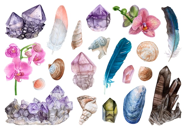 Aquarellkristalle, Orchideenblüten, Federn, Muscheln isoliert auf weißem Hintergrund.