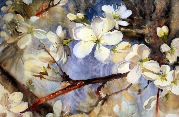 Aquarellmalerei der blühenden Frühlingsbaumaste mit weißen Blumen.