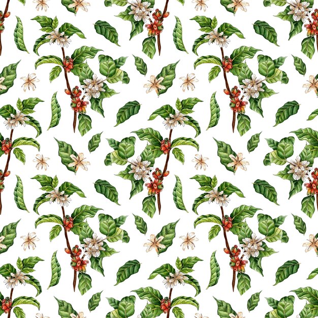 Aquarellmalerei Muster von Kaffeezweigen Grüne rote Beeren Blumen und Bohnen Kaffeeplantage