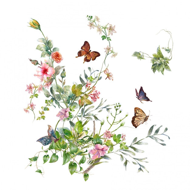 Aquarellmalerei von Blättern und von Blume, auf weißem Hintergrund