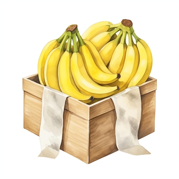 Aquarellmalerei von vielen Bananen in einer Geschenkkiste auf weißem Hintergrund