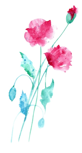 Aquarellmohnblumen Zwei rosa Feldmohnblumen auf weißem Hintergrund