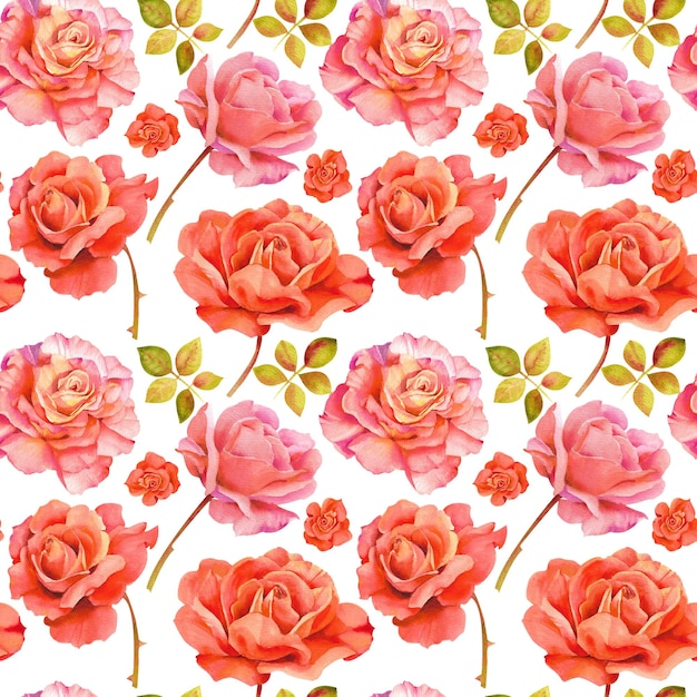 Aquarellmuster von Rosen Musterhintergrund von roten und rosa Rosen mit Blättern und Stielen auf einem weißen Hintergrund