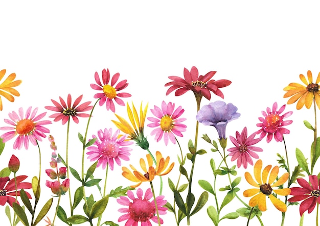 Aquarellrahmen aus bunten Chrysanthemenblüten auf weißem Hintergrund