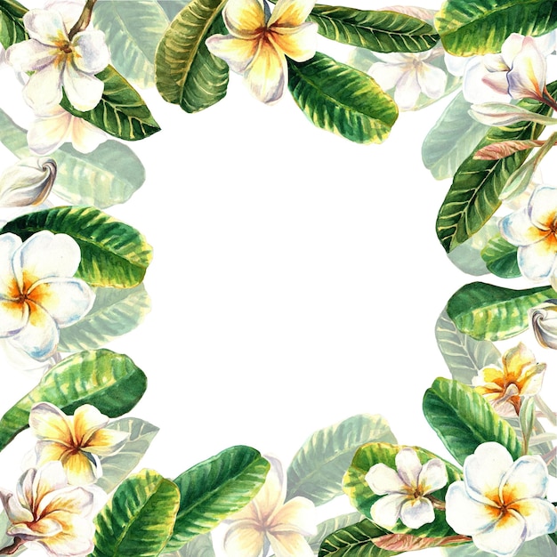 Aquarellrahmen aus exotischen Plumeria-Blumen und -Blättern Handgemalte Blumenillustration