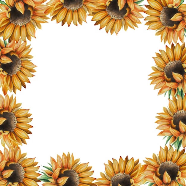 Aquarellrahmen mit Sonnenblumen Handgemalte Cliparts auf einem isolierten Hintergrunddruck für Hochzeit i