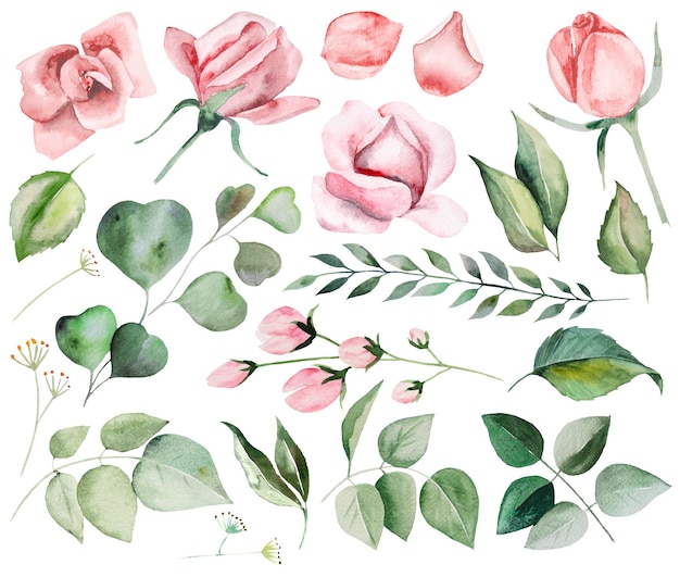 Aquarellrosa Rosenblumen und grüne Gartenblätter illustrieren Hochzeitsbriefpapierelemente