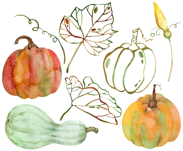 Aquarellsatz isolierte orangefarbene Kürbisse. Thanksgiving-Sammlung der Kürbisernte. Herbst eingestellt. Handgezeichnete Illustration von Kürbissen