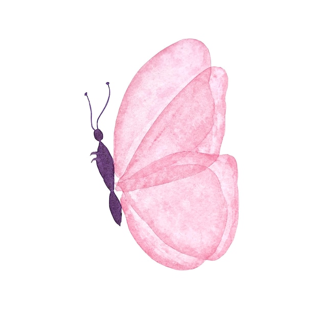 Aquarellschmetterling auf weißem Hintergrund