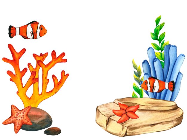 Foto aquarellsteine, seesterne, cartoon-clownfische, blau-violette algen, rote korallenriff-illustrationen