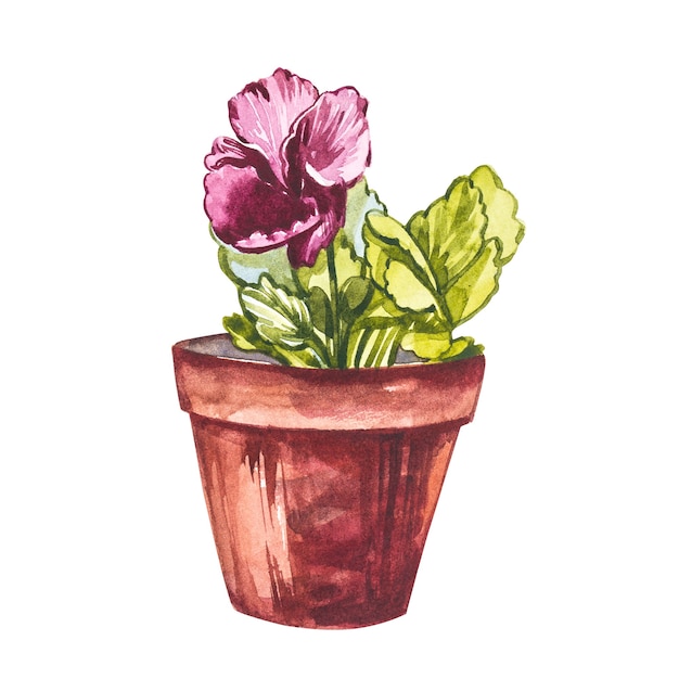 Aquarellstiefmütterchen blüht im Blumentopf. Hand zeichnen Aquarellillustrationen auf weißem Hintergrund. Ostersammlung.