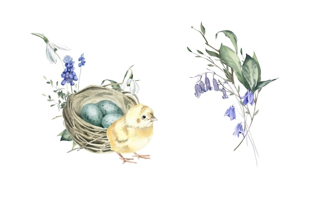 Aquarellsträuße mit Chick Nest Muscari und Schneeglöckchen