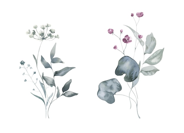 Aquarellsträuße mit Wiesenblumen und Kräutern