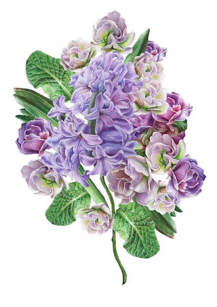 Aquarellstrauß mit Blumen. Rose. Iris. Hyazinthe. Illustration. Handgemalt.