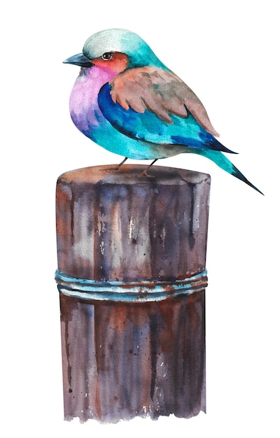 Aquarellvögel auf der Wassersäule. Set aus verschiedenen Aquarellvögeln auf weißem Hintergrund