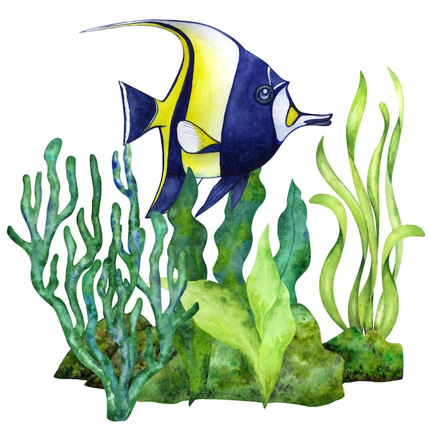Aquarellzeichnung eines Fisches und Algen