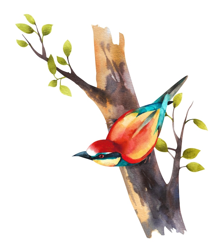 Foto aquarellzeichnung eines vogels auf einem ast ein schöner vogel sitzt auf einem ast