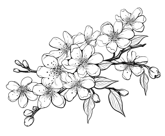 Aquarellzeichnung eines wunderschönen Lila-Buckeys und eines weißen Schmetterlings Handgezeichnete botanische Illustration