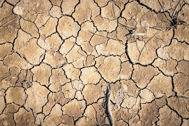 Aquecimento global da terra rachada seca