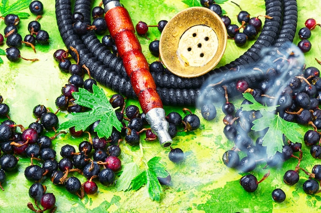 Arabien Shisha mit schwarzer Johannisbeere