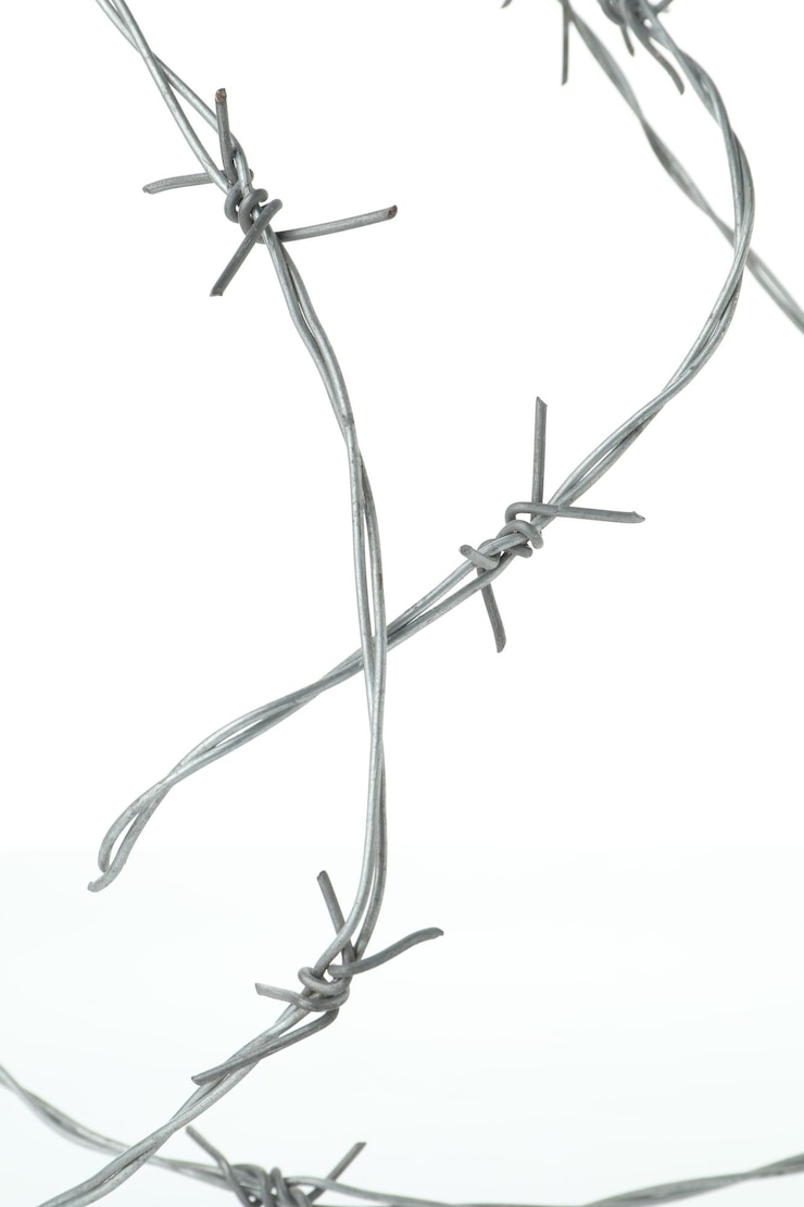 Foto arame farpado de metal brilhante isolado em branco