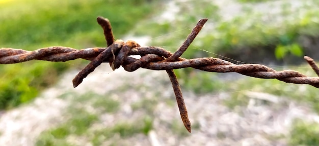 Foto arame farpado em uma cerca de fazenda