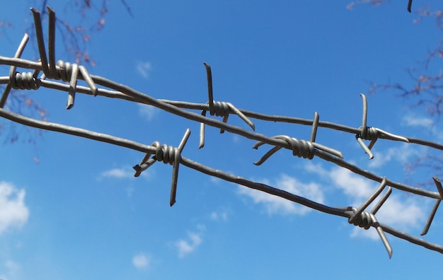 Arame farpado esticado sobre o céu azul Foto detalhada