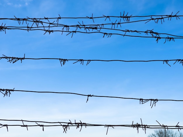 Arame farpado na cerca com céu azul no fundo