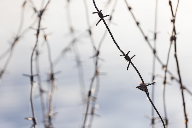 Arame farpado velho contra o céu. Foto de alta qualidade