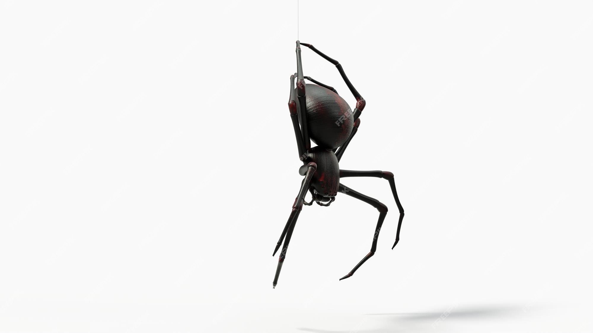 Araña negra colgante. detalles de piel roja. adecuado para temas de terror, halloween, e insectos. 3d con fondo blanco. | Foto Premium