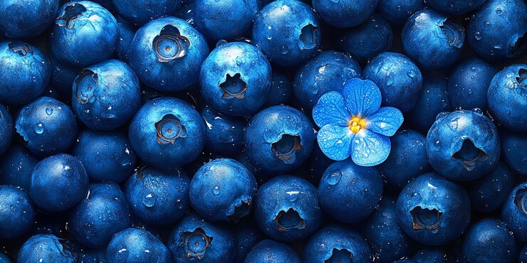 los arándanos están entre los ánabas que son azules