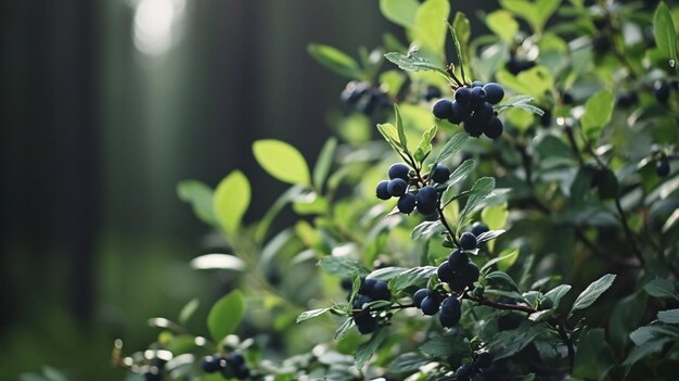 Arándanos madurando en la rama de un árbol Generative Ai