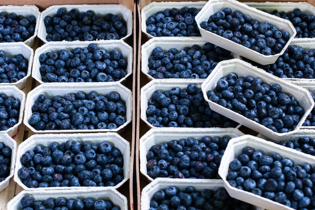 Arándanos en venta en pequeñas cajas en un mercado