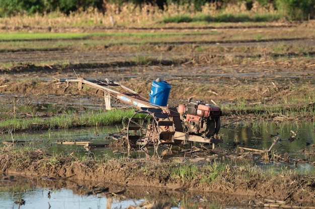 Arando el campo