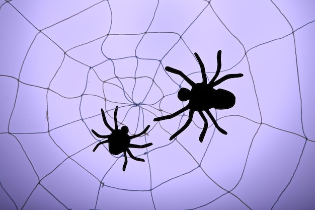 Aranha na web conceito de decoração de Halloween