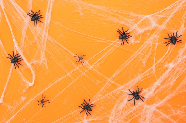 aranhas artificiais penduradas com teias na parede laranja