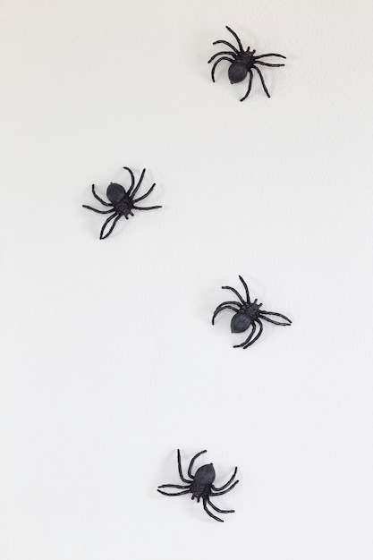 Aranhas pretas de Halloween na parede