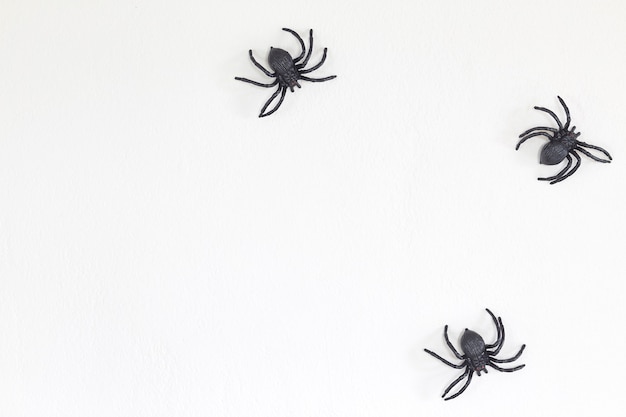 Aranhas pretas de halloween na parede