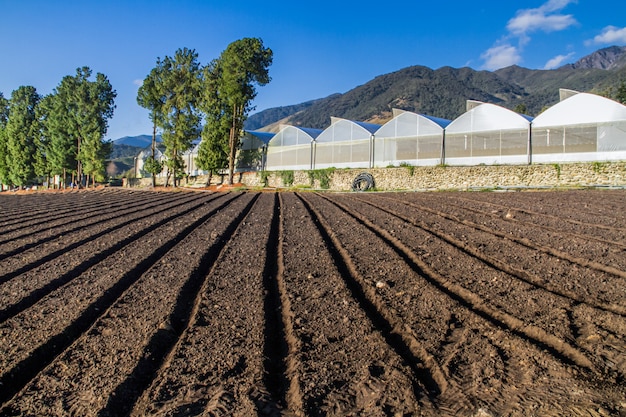 Arar el campo agrícola antes de sembrar. Surcos en el suelo para arar.