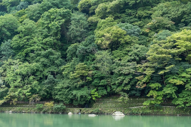 Arashiyama-See